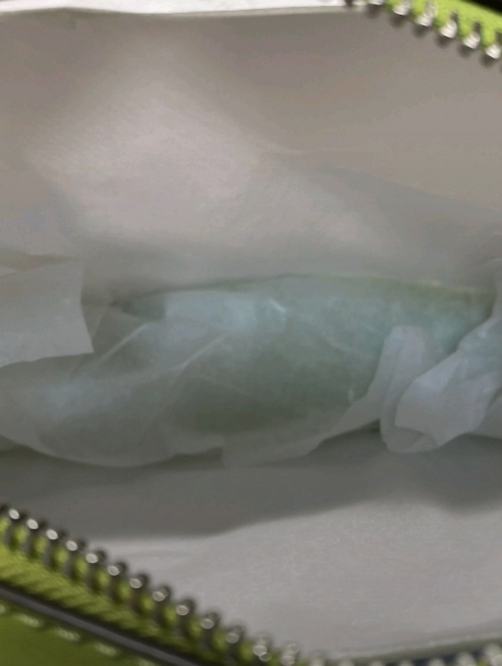 Michael Kors-Jet Set Travel Oval Camera Crossbody Bag (Lime 🍋‍🟩) - Picture 7 of 10